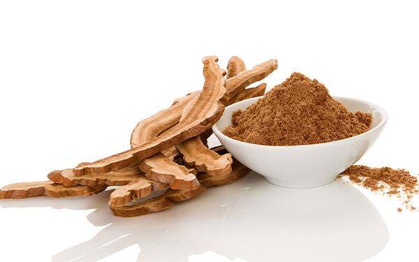 靈芝粉篩分計劃